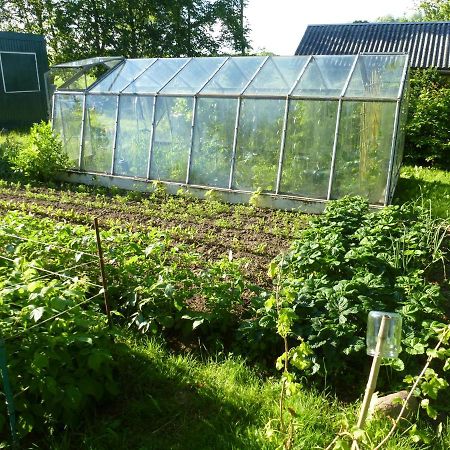 Traumhaftes Luxus-Ferienhaus Warnkenhagen  Esterno foto