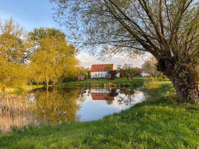 Traumhaftes Luxus-Ferienhaus Warnkenhagen  Esterno foto