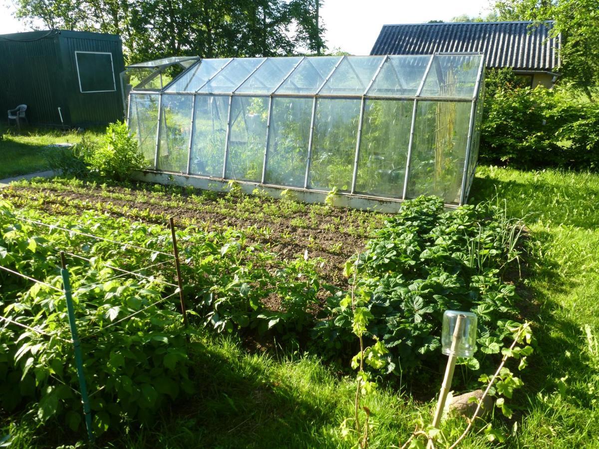 Traumhaftes Luxus-Ferienhaus Warnkenhagen  Esterno foto